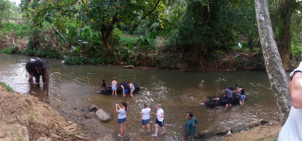 Suwani Pinnawala Homestay מראה חיצוני תמונה