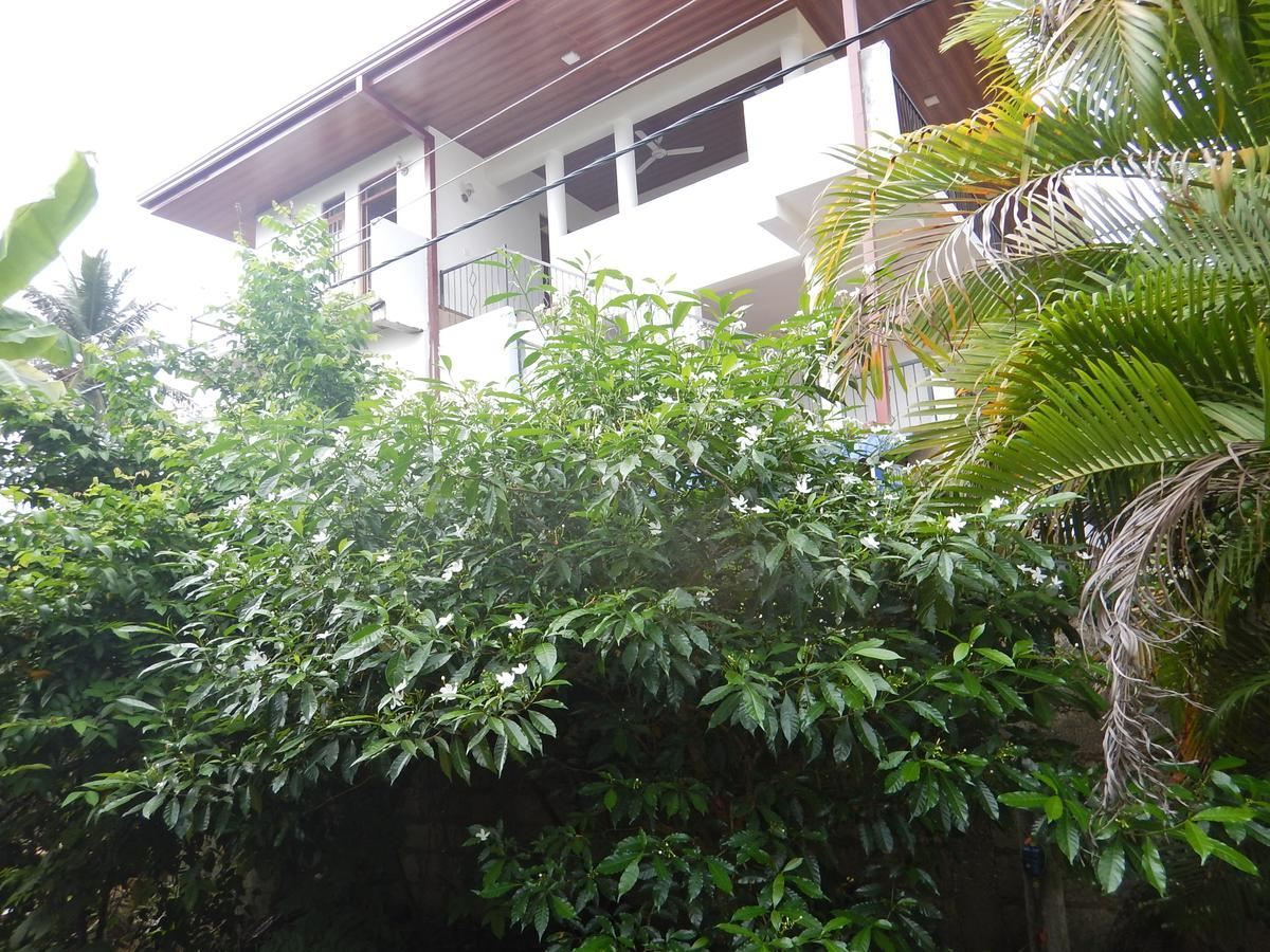 Suwani Pinnawala Homestay מראה חיצוני תמונה
