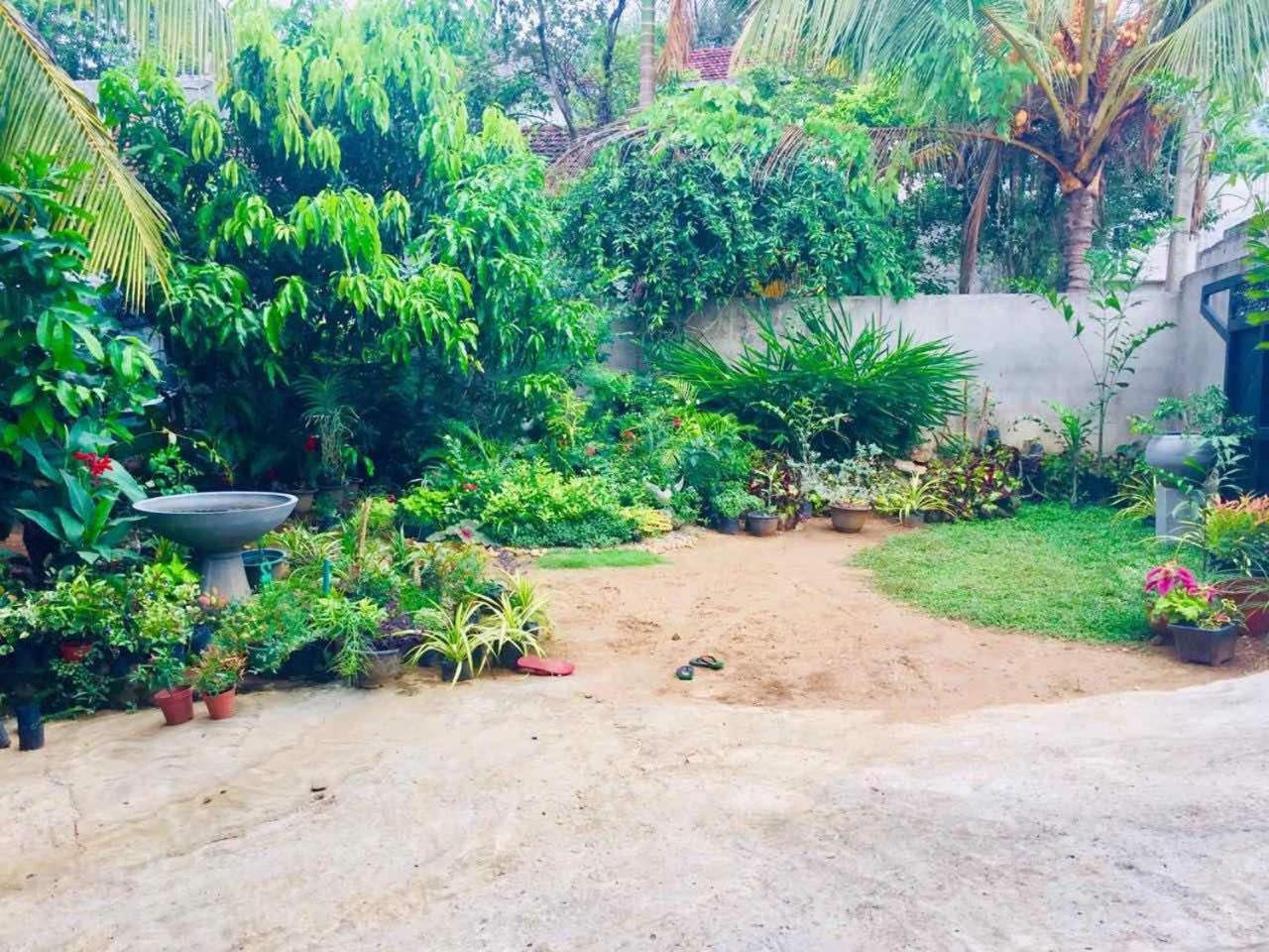 Suwani Pinnawala Homestay מראה חיצוני תמונה